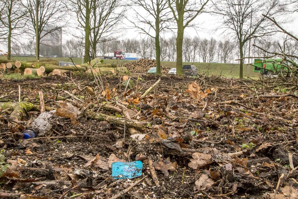 Beruchte seksbos langs de carpoolplaats gekapt