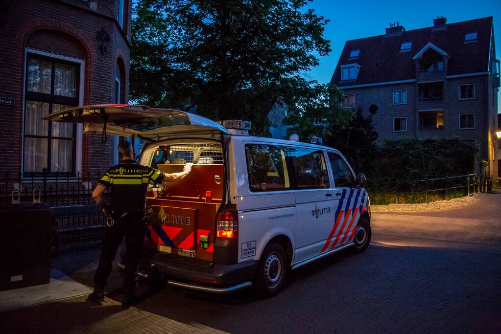 Nepwapen van kermis zorgde voor grote politiemacht