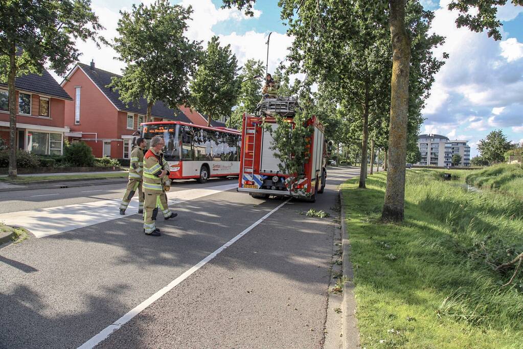 Brandweer verwijdert loshangende takken