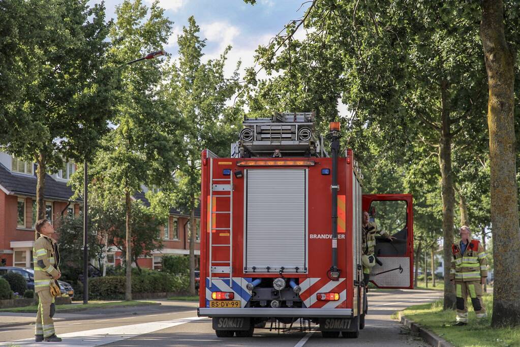 Brandweer verwijdert loshangende takken