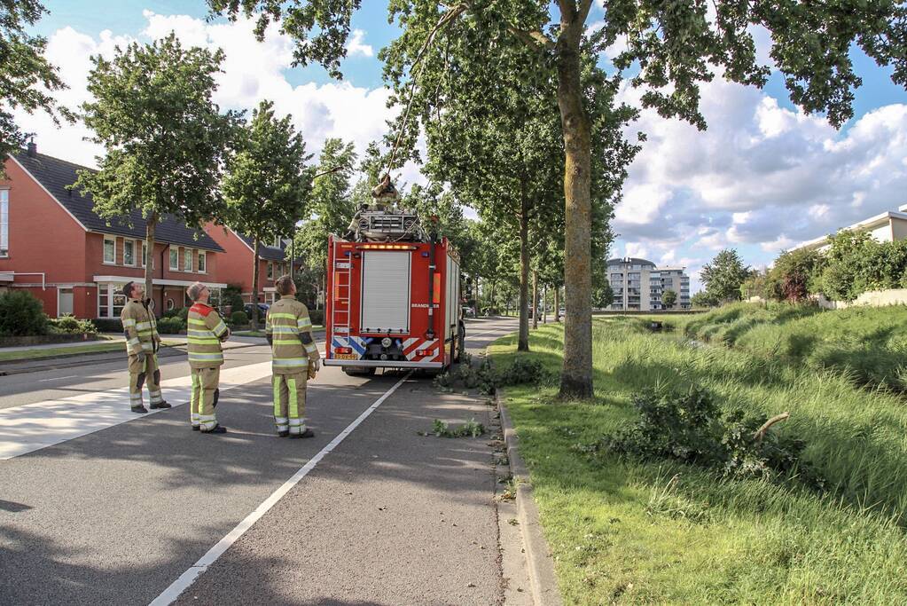 Brandweer verwijdert loshangende takken