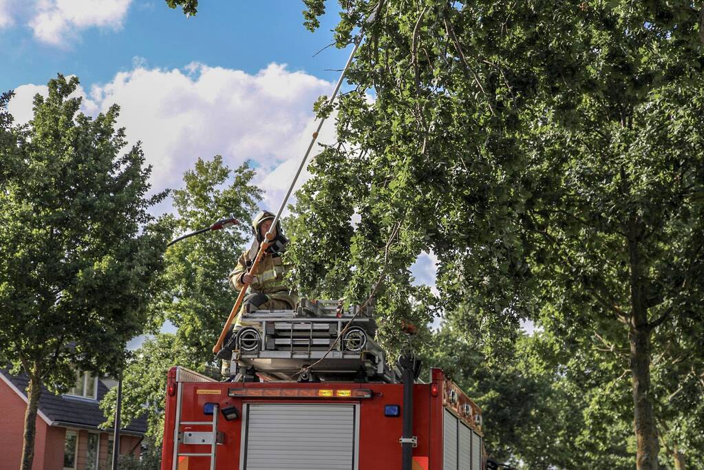 Brandweer verwijdert loshangende takken