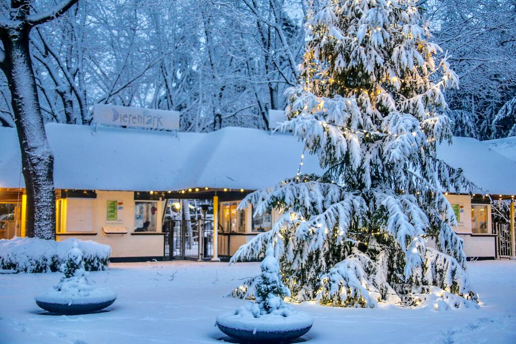 Dierenpark sluit eerder deuren door hevige sneeuwval