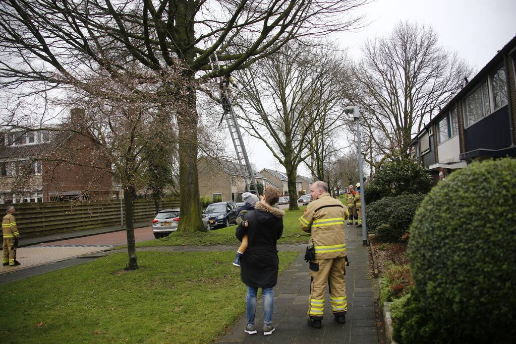 Brandweer verwijderd gevaarlijk hangende takken