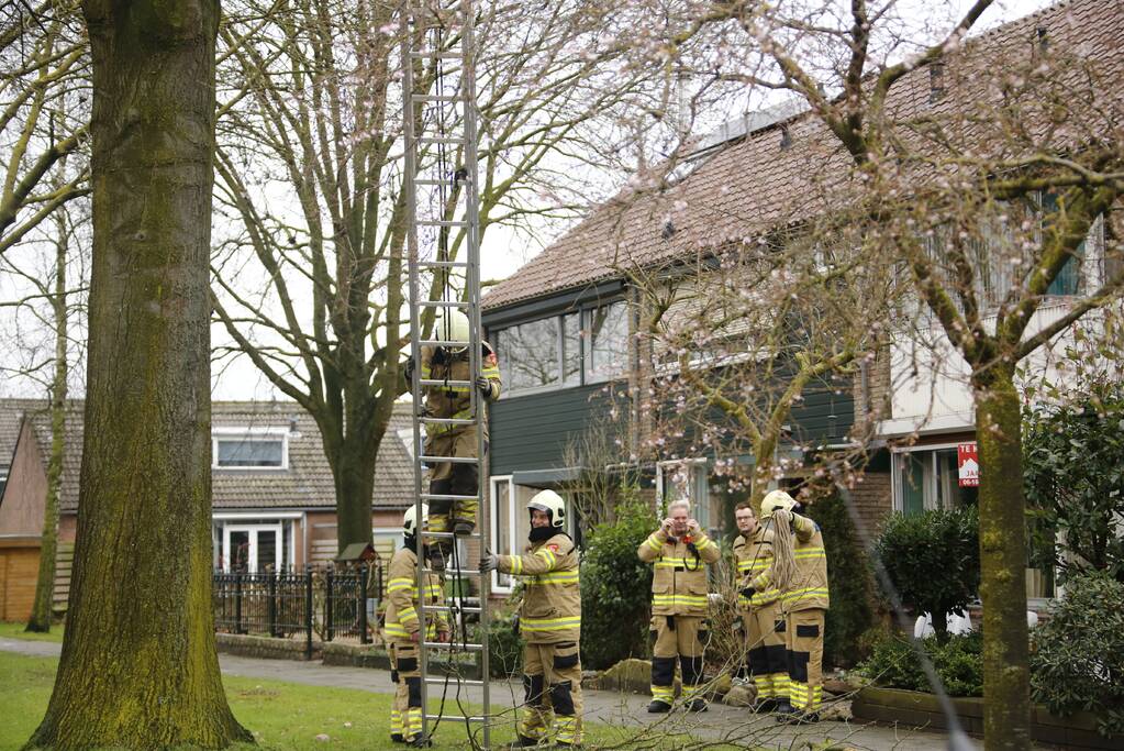 Brandweer verwijderd gevaarlijk hangende takken