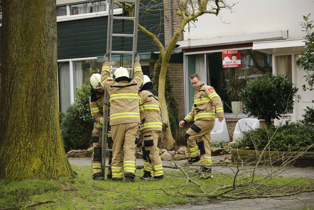 Brandweer verwijderd gevaarlijk hangende takken