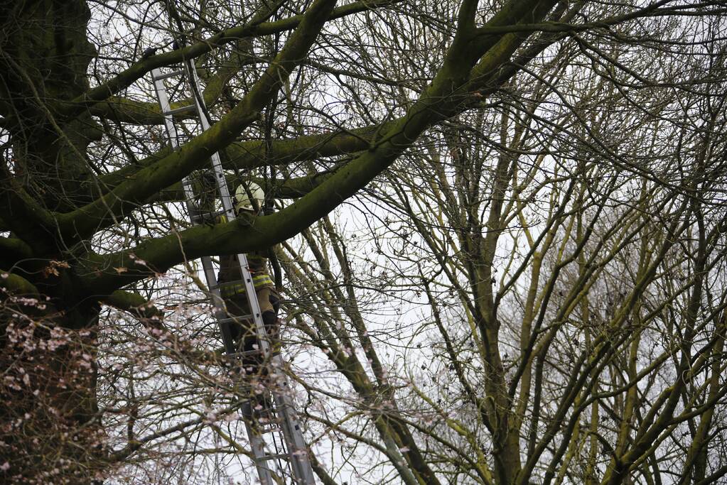 Brandweer verwijderd gevaarlijk hangende takken