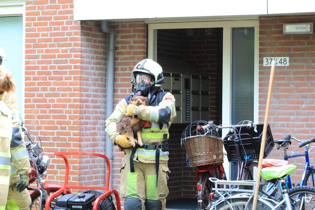 Flat ontruimd na brandstichting