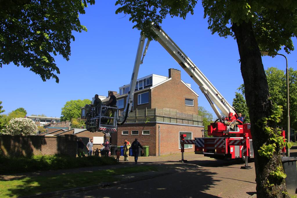 Kitten Oscar springt uit hoge  boom bij reddingsactie