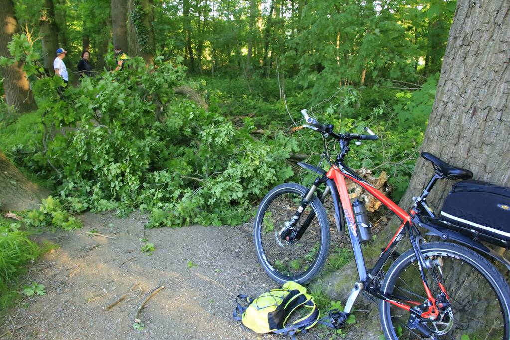 Hardloopster gewond door vallende tak