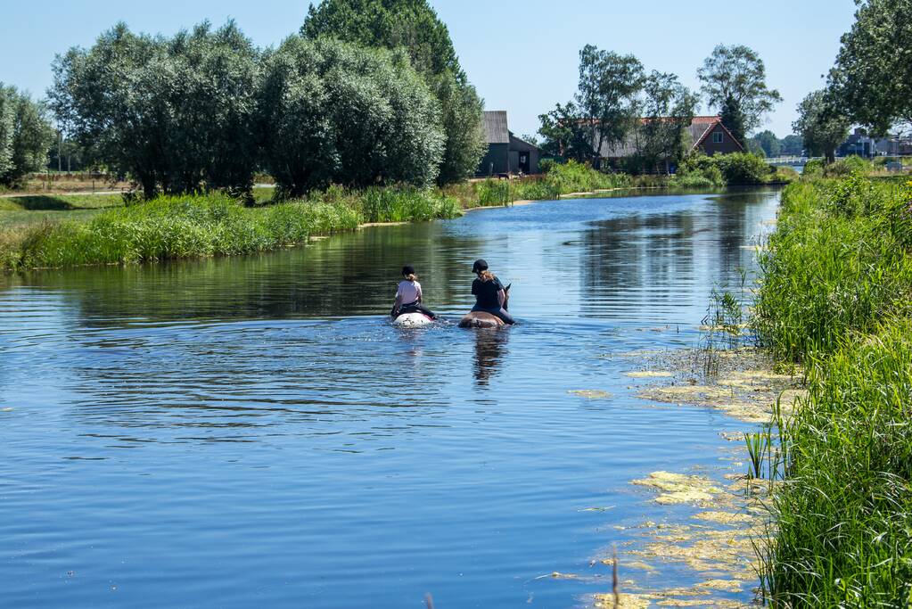 Zowel mens als dier zoeken verkoeling op