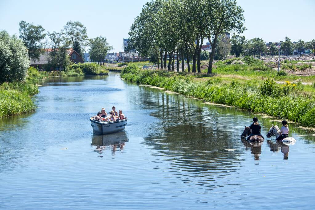 Zowel mens als dier zoeken verkoeling op