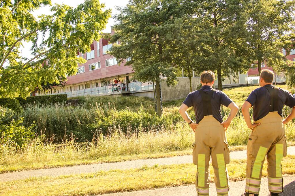 Kat Tommy zorgt voor lastige reddingsactie uit boom