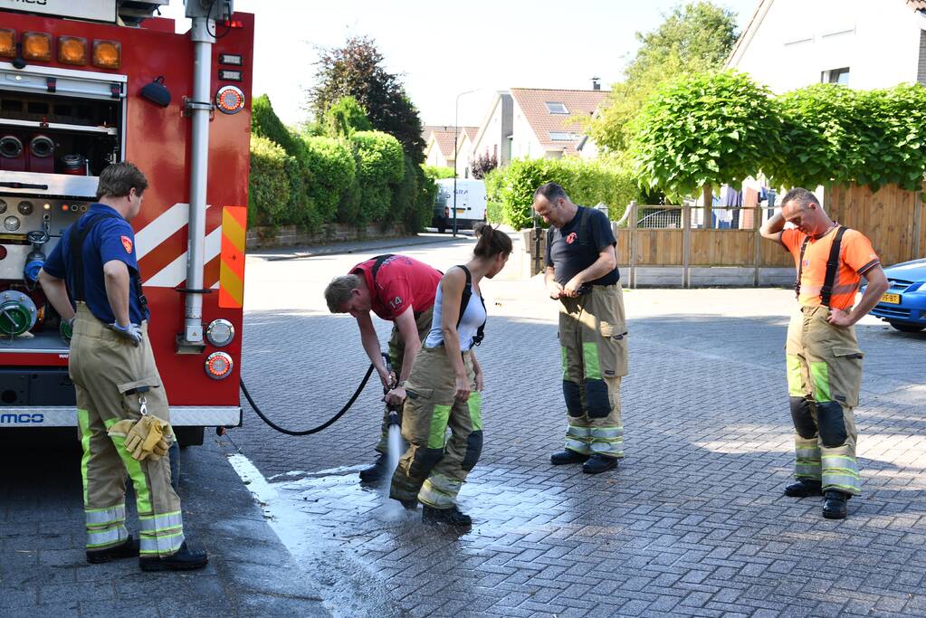 Flinke zoektocht voor brandweer naar schaap te water