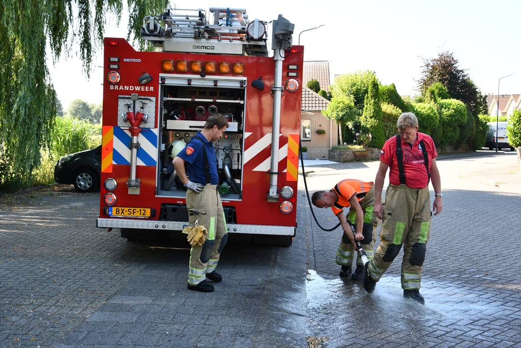 Flinke zoektocht voor brandweer naar schaap te water