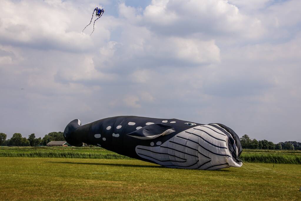 Mega-kites opgelaten boven Vathorst