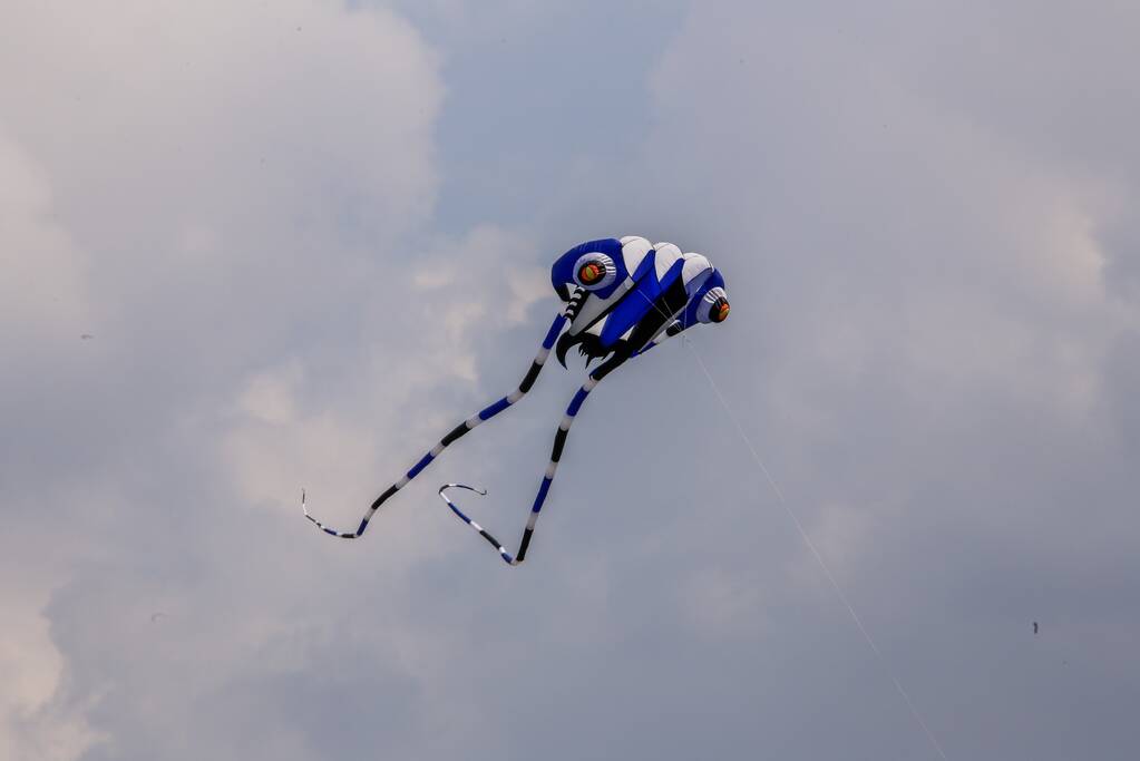 Mega-kites opgelaten boven Vathorst