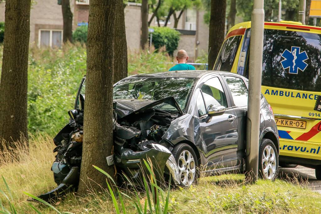 Bestuurder knalt tegen boom