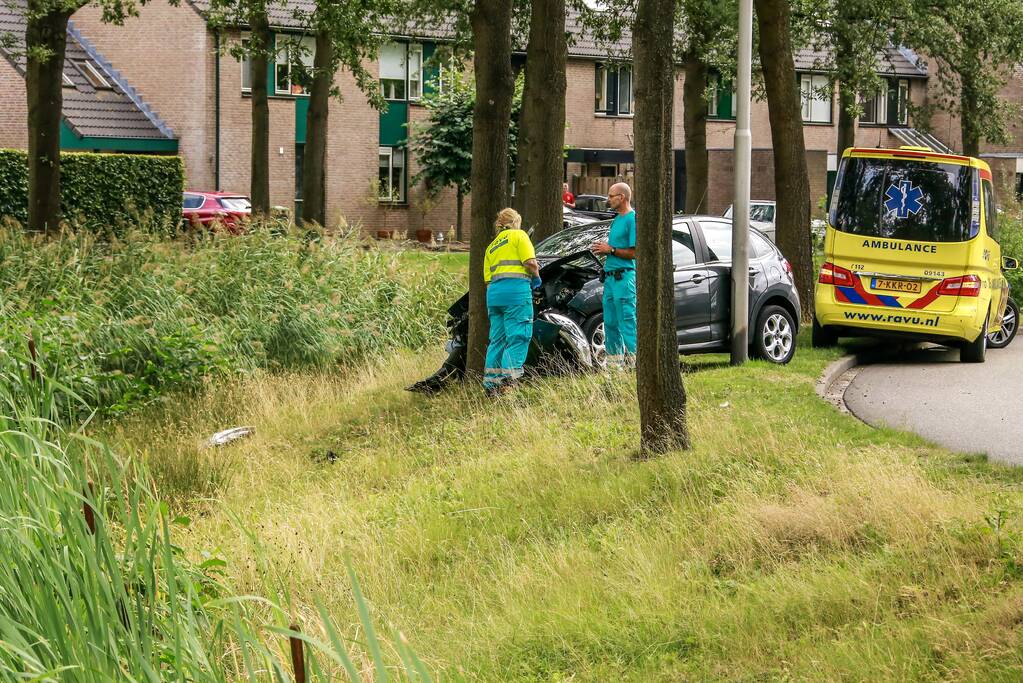 Bestuurder knalt tegen boom