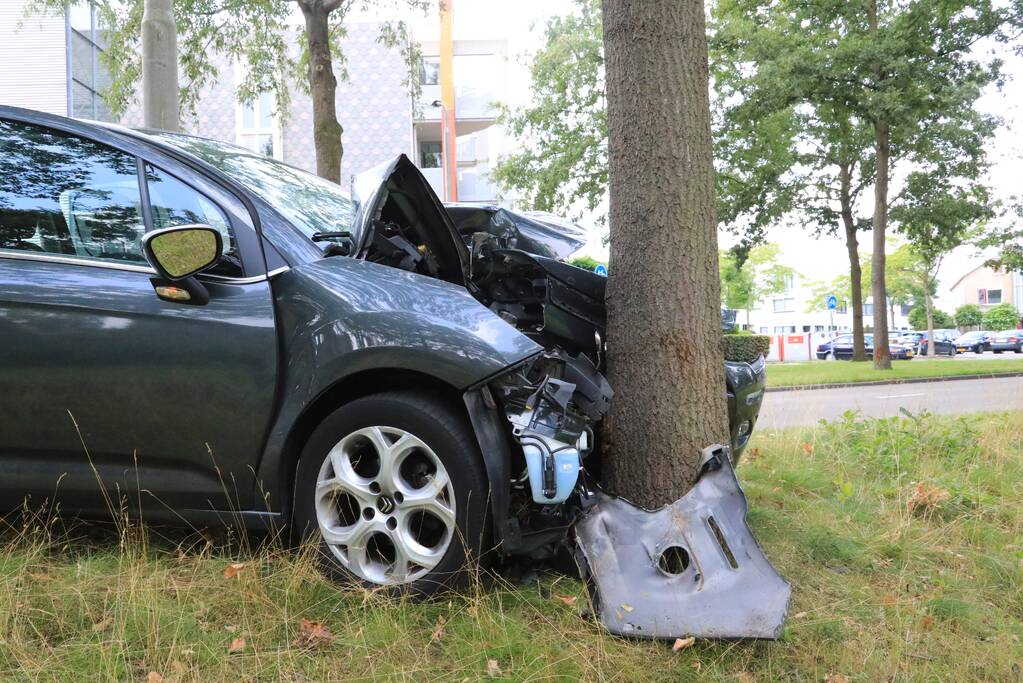 Bestuurder knalt tegen boom