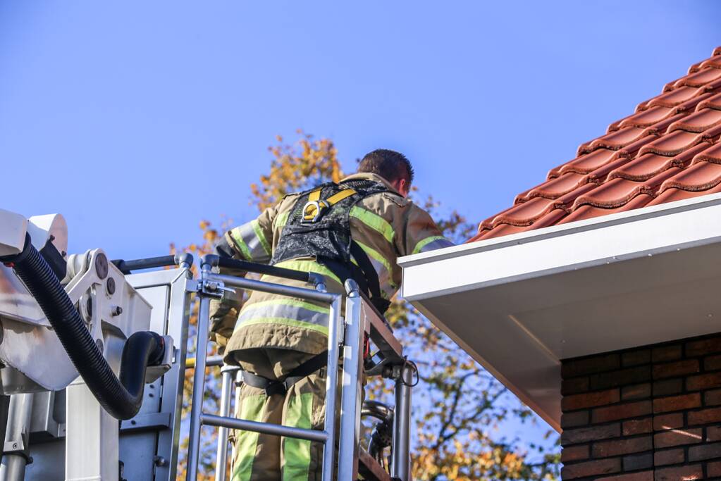 Kat springt uit dakgoot bij reddingspoging