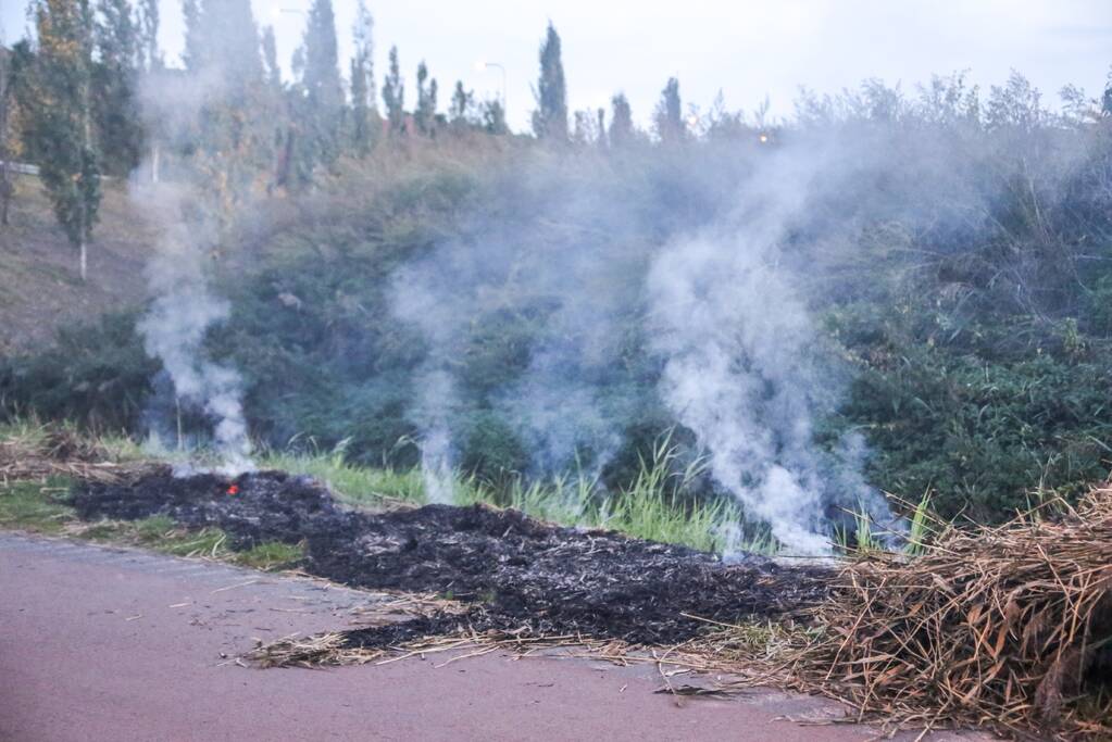 Lean (10) en Alec (8) blussen brand