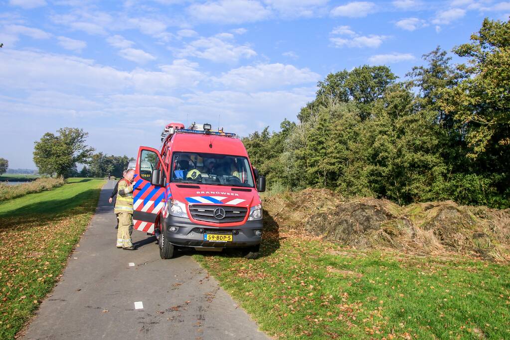 Zwaan met gebroken vleugel uit sloot gered