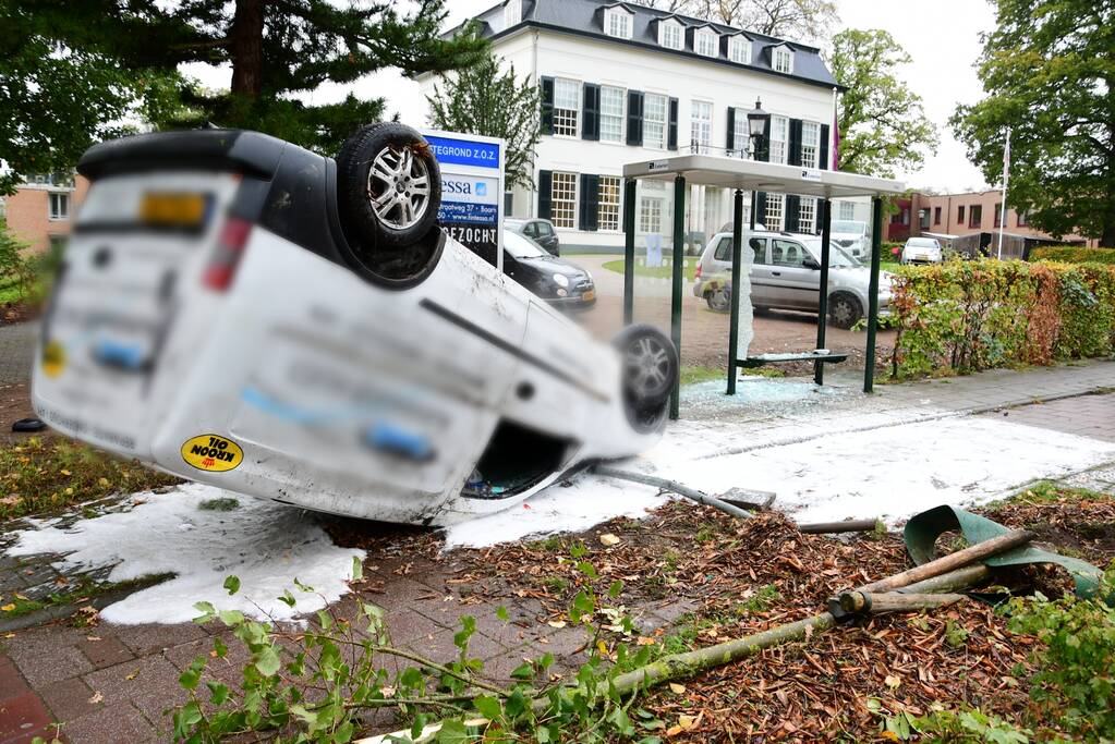 Bestelauto ramt boom en bushok en vliegt over de kop