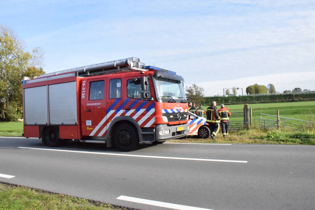 Schaap uit het water gered