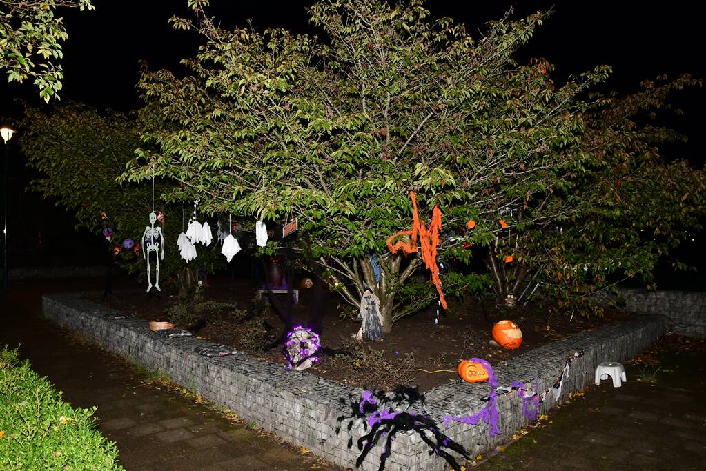 Eemnes omgetoverd in Halloweenstad