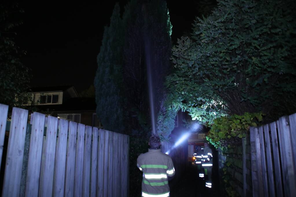 Conifeer in brand gestoken