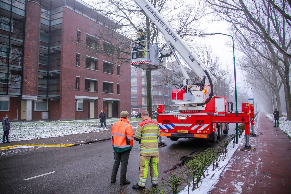 Loshangende takken boven fietspad