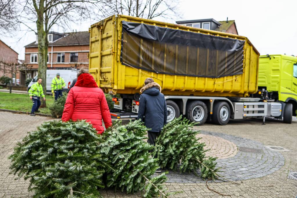 Buurt druk in de weer met ingezamelde kerstbomen