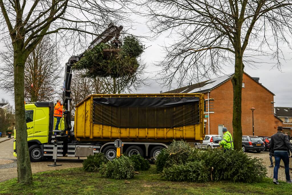 Buurt druk in de weer met ingezamelde kerstbomen