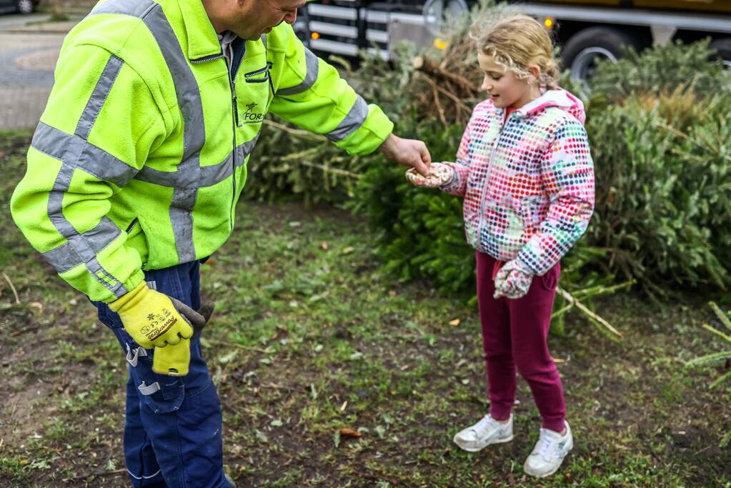 Buurt druk in de weer met ingezamelde kerstbomen