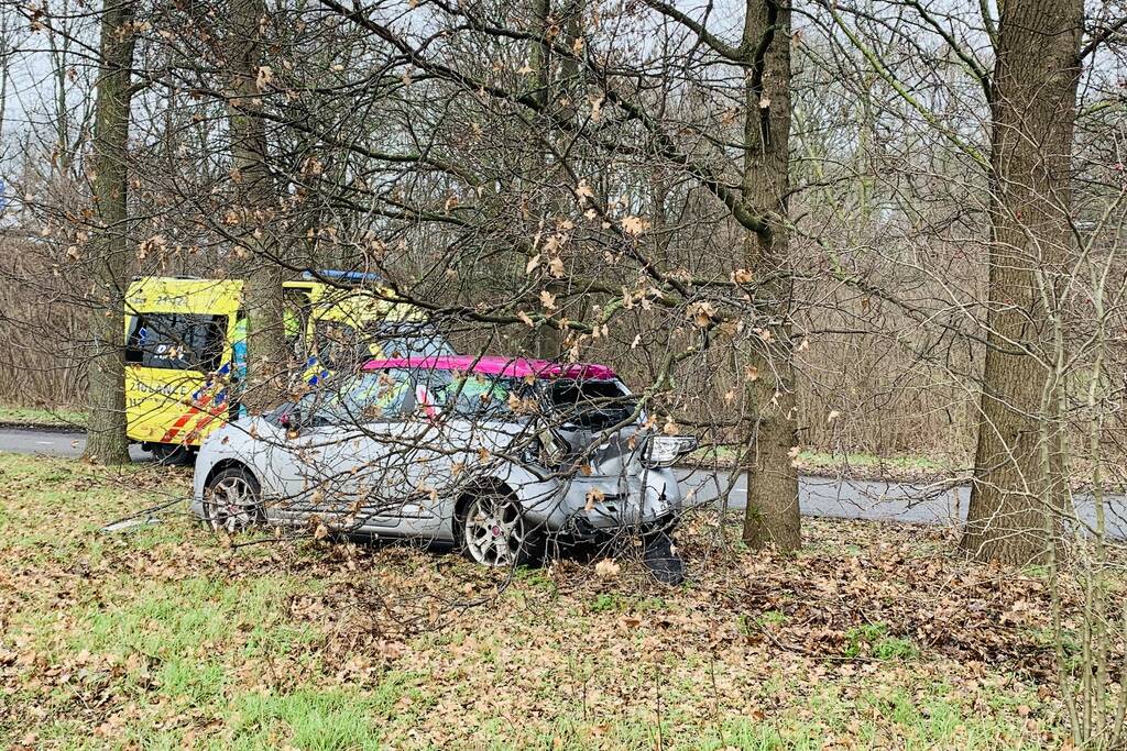 Auto belandtt in bosschages na aanrijding met vrachtwagen