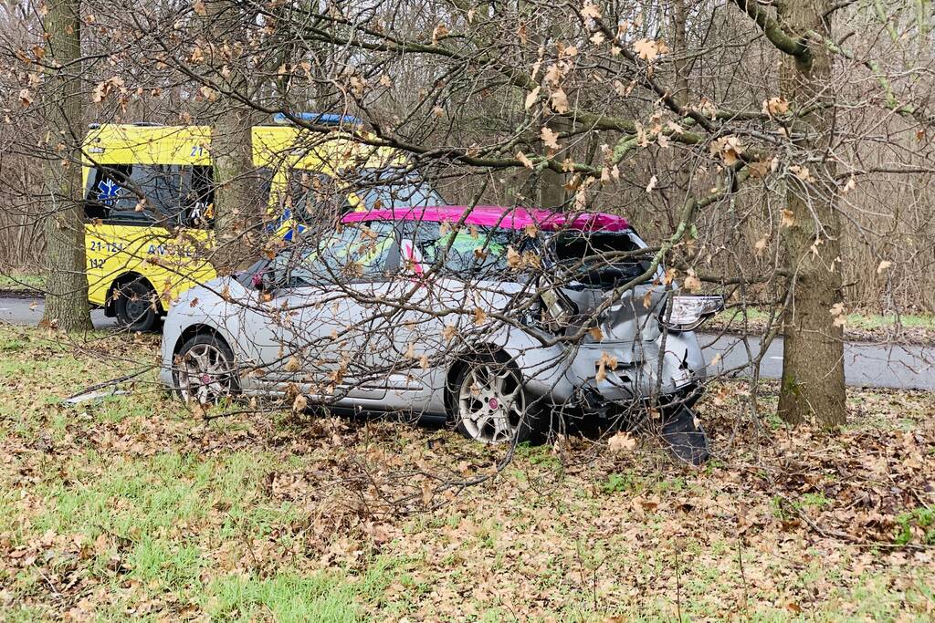 Auto belandtt in bosschages na aanrijding met vrachtwagen