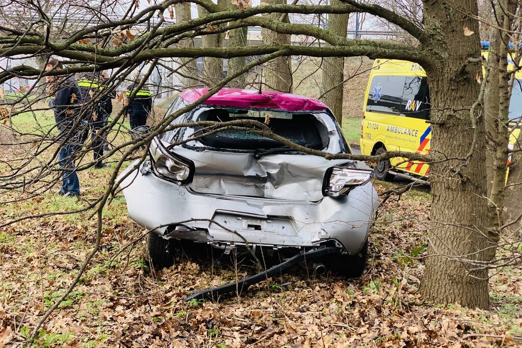 Auto belandtt in bosschages na aanrijding met vrachtwagen