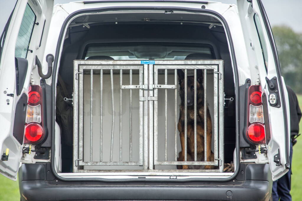 Agenten vinden hond op straat