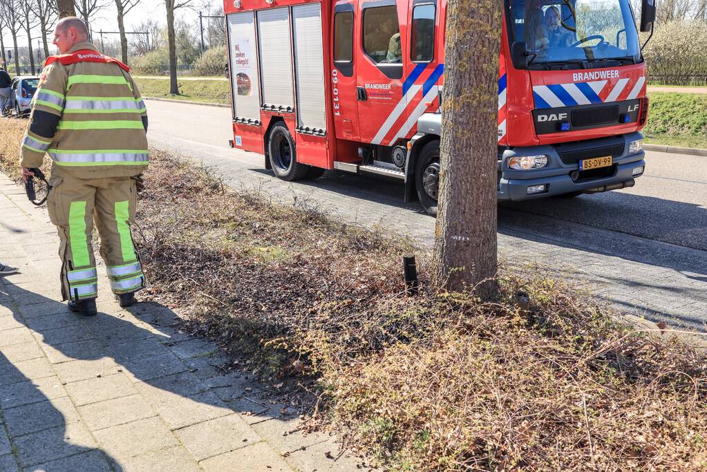 Medewerkers bedrijven blussen brand in berm, Databankweg