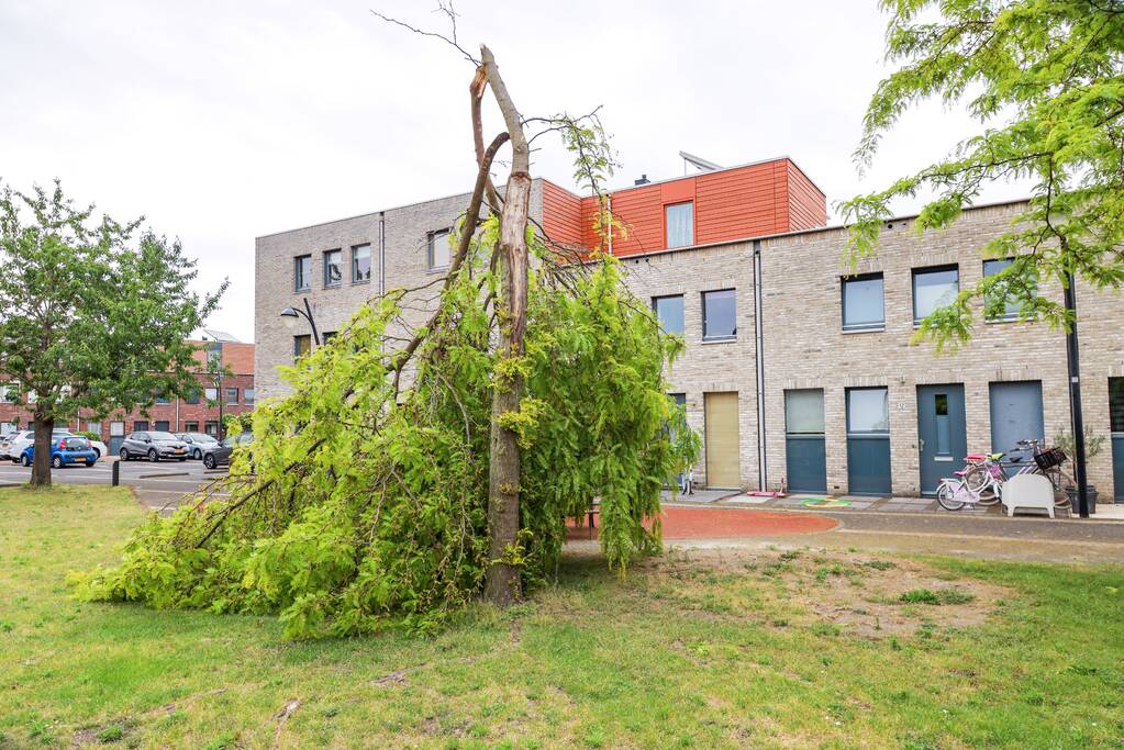 Boom omgeknakt door storm