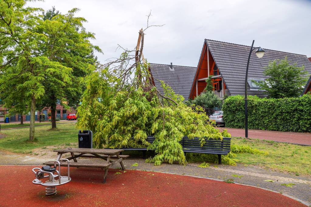 Boom omgeknakt door storm