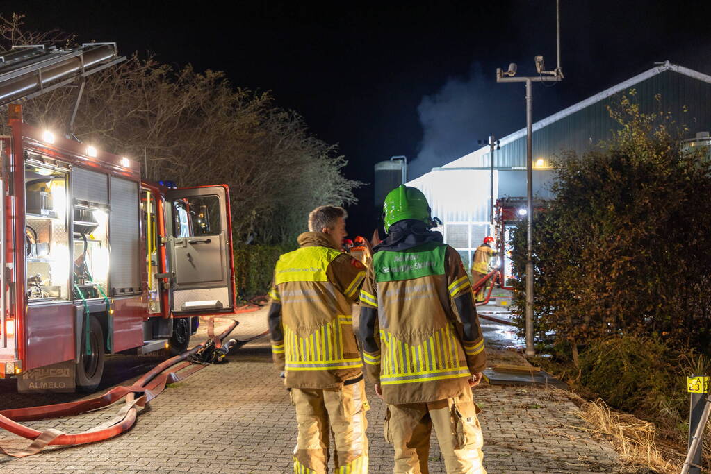 Honderden koeien gered bij uitslaande brand