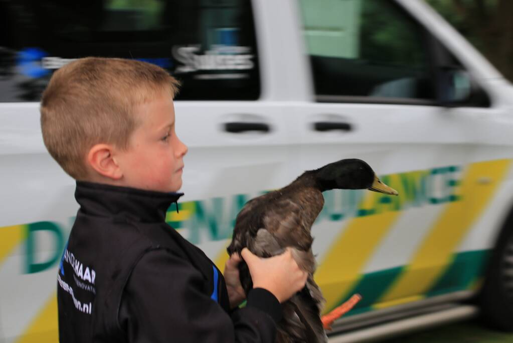 Jeugd helpt dierenambulance met redden van eend