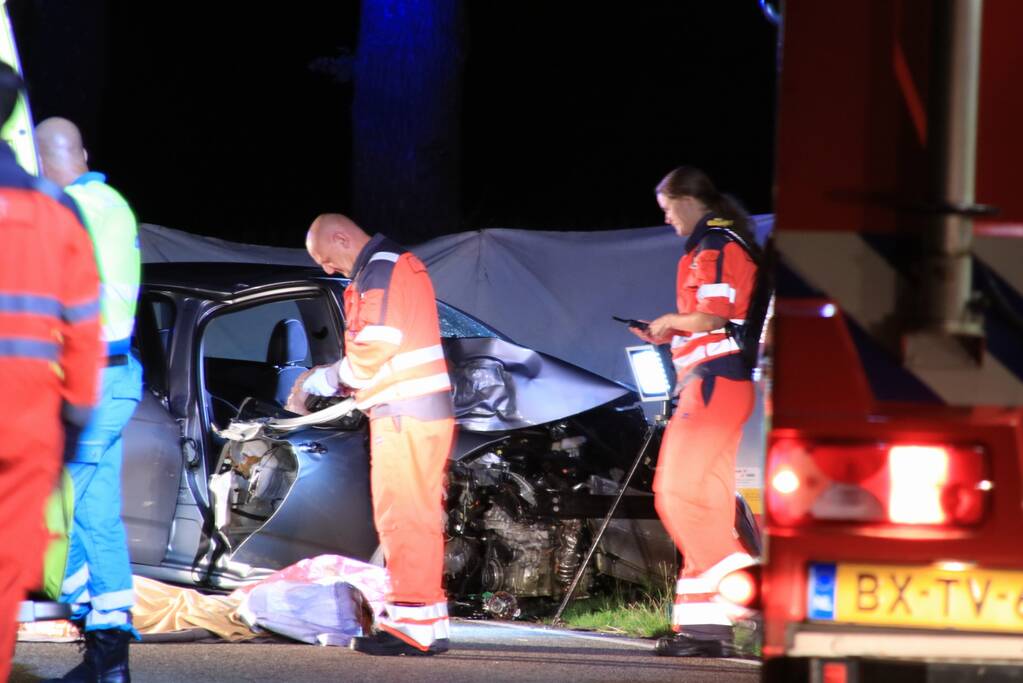 Vrouw overleden na botsing tegen boom