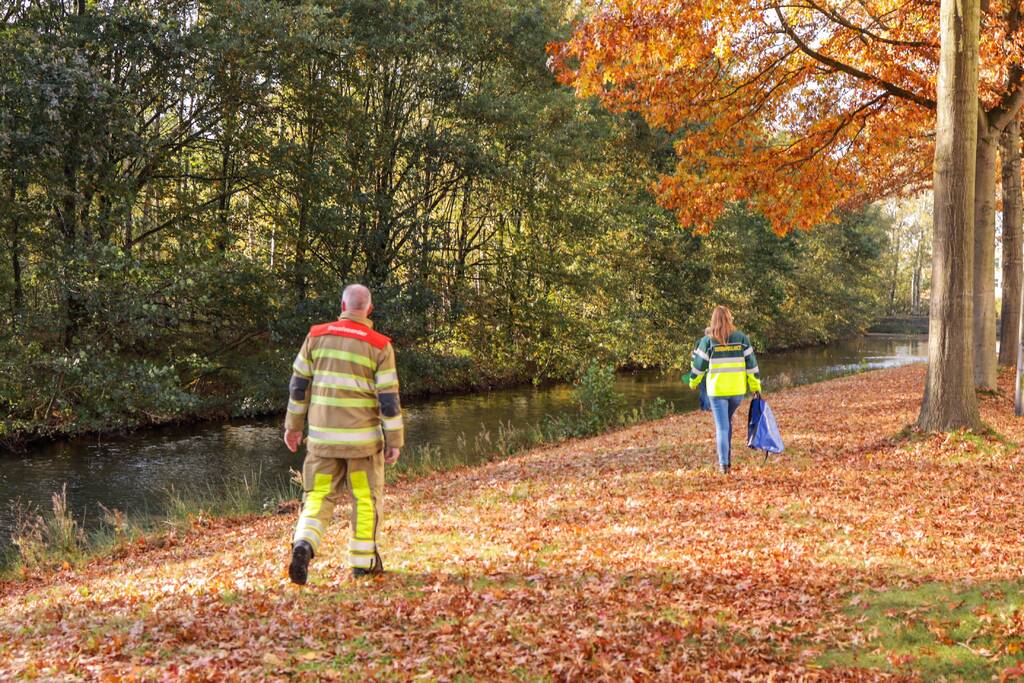 Gewonde zwaan laat zich niet vangen