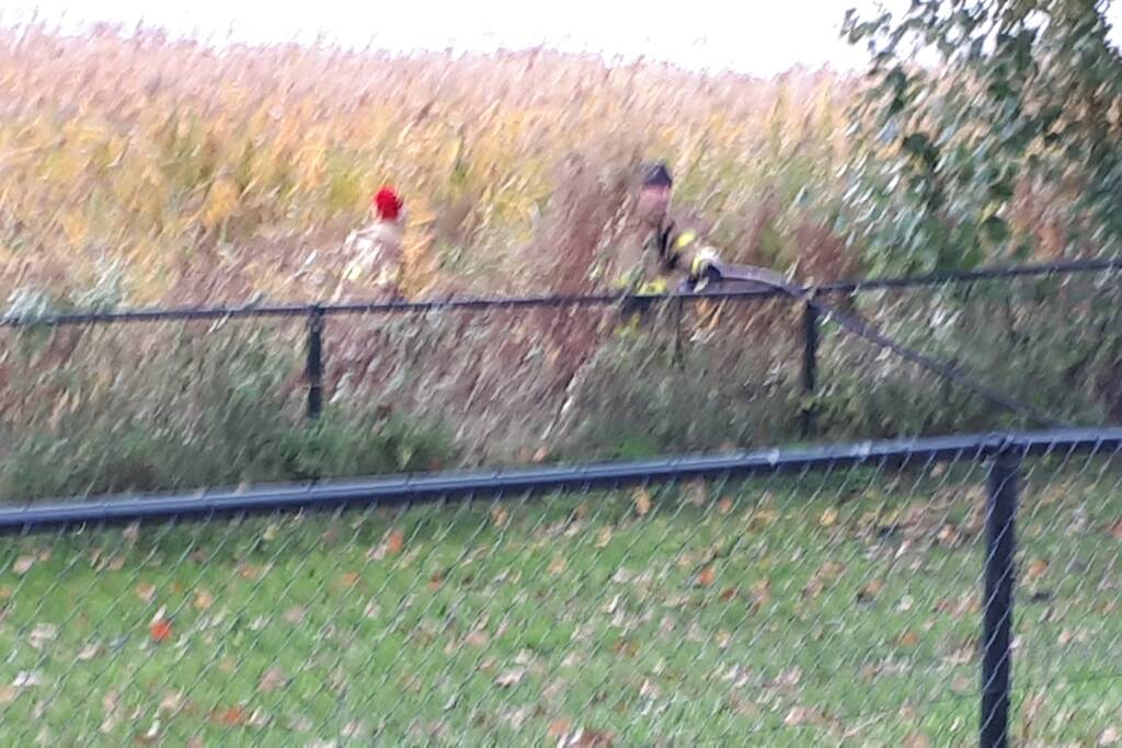 Brandweer doet nog een poging om kat uit boom te halen