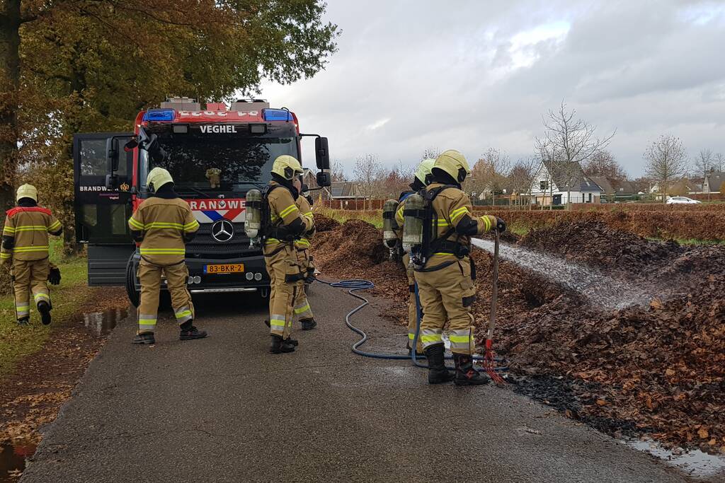 Brand in herfstbladeren door broei