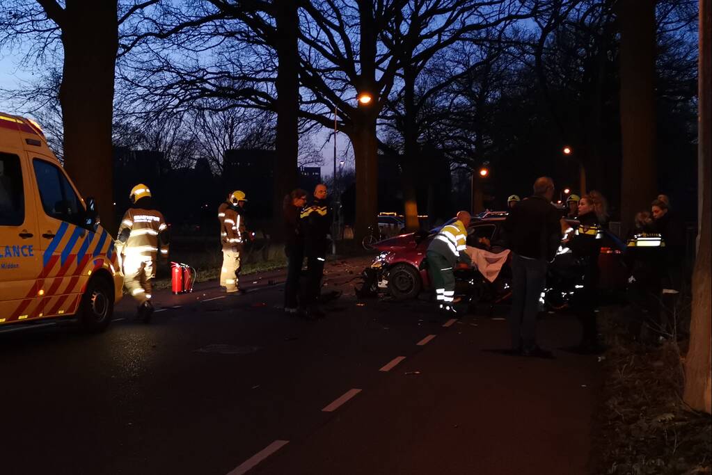 Automobilist gewond na aanrijding tegen boom