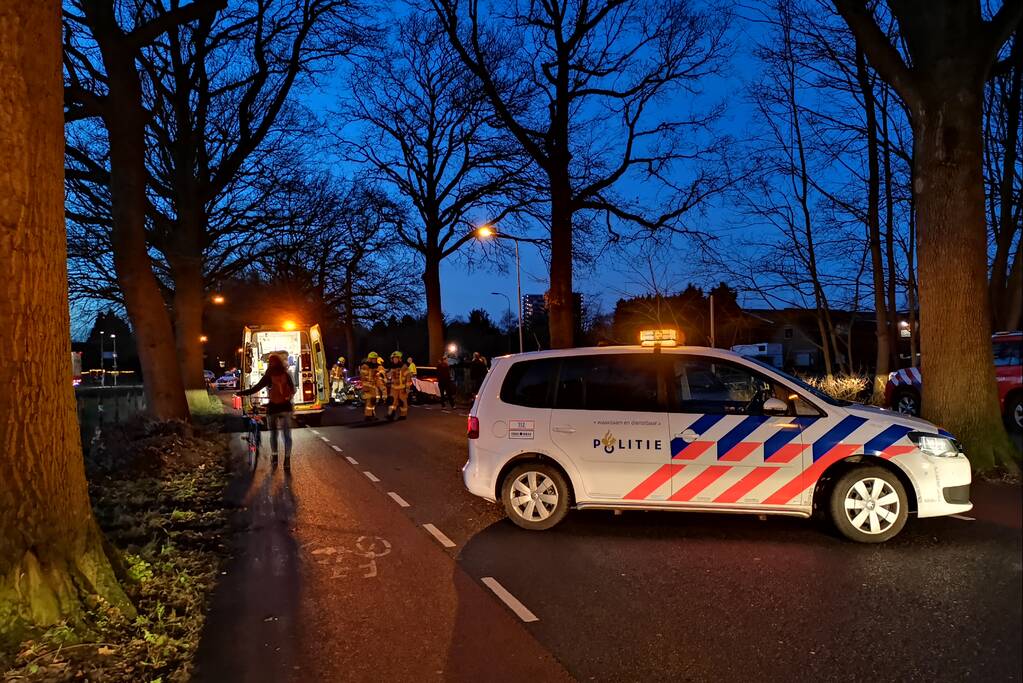 Automobilist gewond na aanrijding tegen boom